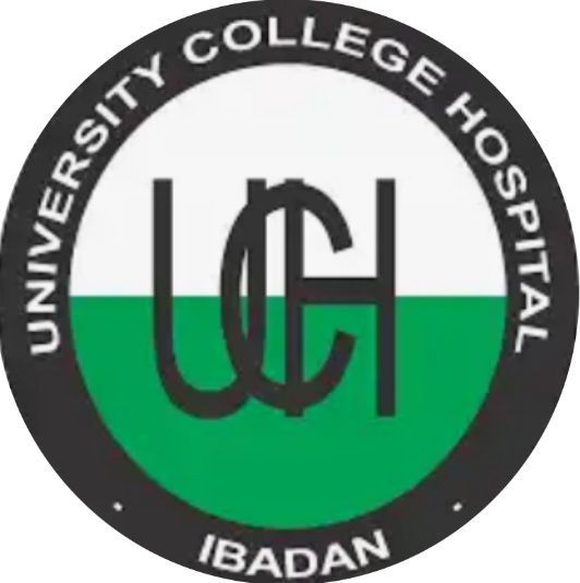 UCH Ibadan School of Nursing Admission Form 2023/2024 & How to Apply