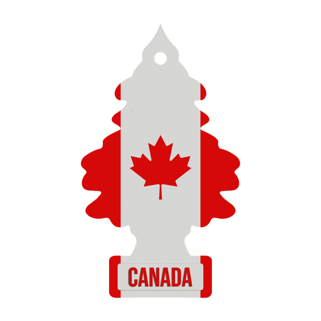 Canada Visa Application Guide 2023 [FULL INFO]